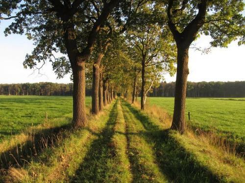 Apartamento Stal Zwartschaap