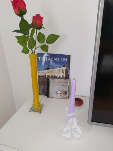 Apartman Stupine Metropola