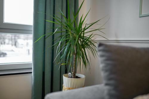 Apartman Epilux
