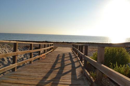 Apartamento Flamingo Playa 8