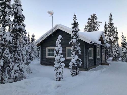 Arctic Home Experience
