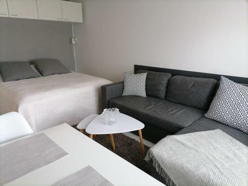 Apartamento Yll�skanerva102
