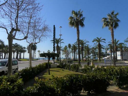 Apartamento Zeus Auriga