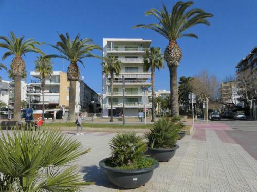 Apartamento Zeus Auriga