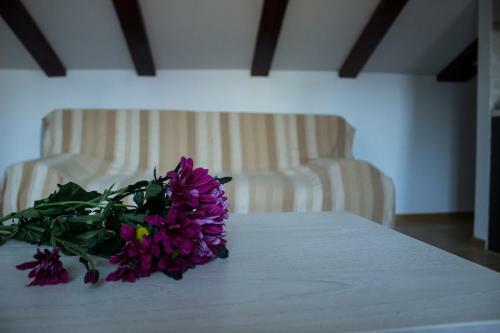 Apartamentos Max-well Paviljoni