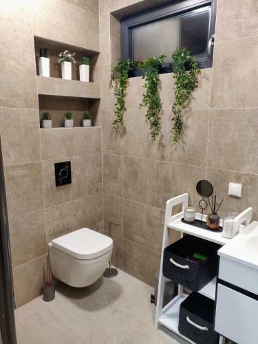 Apartment A5 Lux