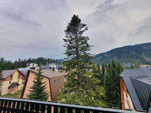 Jelka Apartmani
