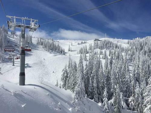Bed & Breakfast Vila Gora Jahorina