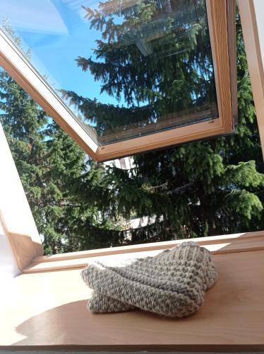Jahorina Apartman 54m2 (Za 6 Osoba)