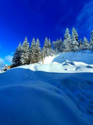 Apartamento Jahorina 7lux