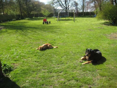 Bed & Breakfast Zeeland