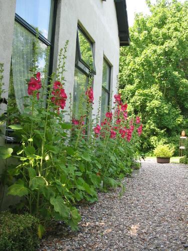 Bed & Breakfast De Witte Wolk