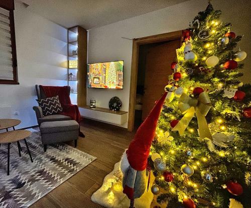 Apartamento Zlatni Dan