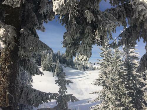 Apartamento Mountain View