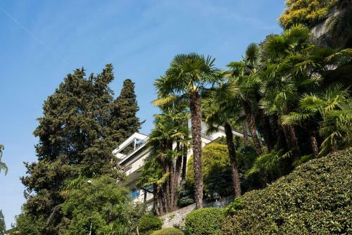 Apartamento Villa Violetta - Bellavista