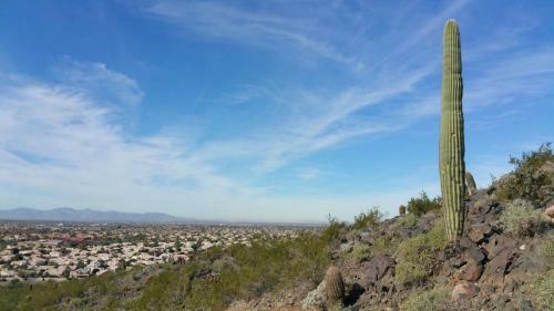 Glendale Arizona Lakeside Property