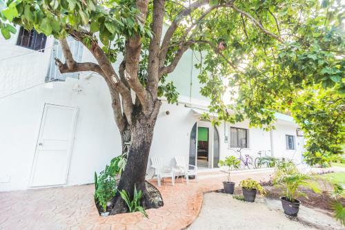 Cozumel - Av 25 Apartments