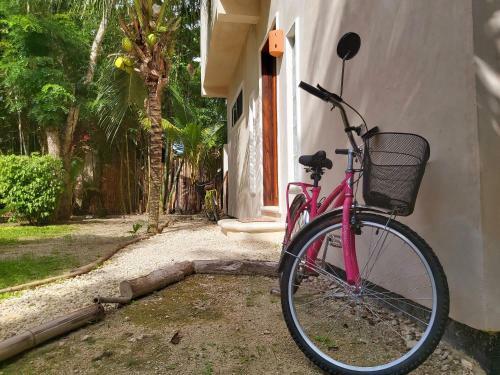 Villa Mini Pini Bird Watching And Cenote Loft