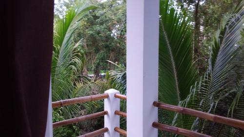 Villa Mini Pini Bird Watching And Cenote Loft