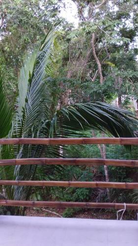 Villa Mini Pini Bird Watching And Cenote Loft