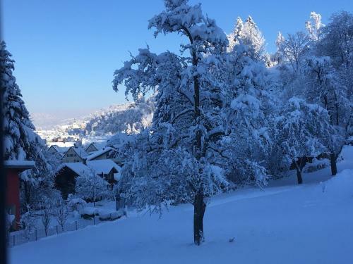 Apartamento Ferienwohnung B�hler