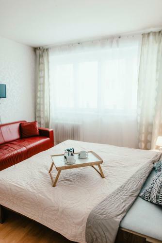 Old Town Apartment Pellicova