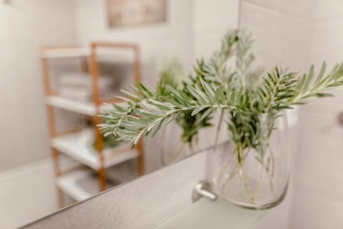 Luxury Apartments Zelny TRH 4