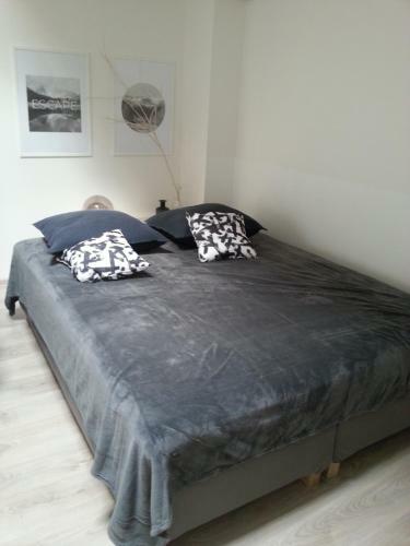 Apartm�n V Bl�zkosti Centra Brna