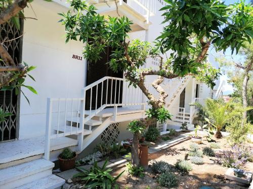 Apartamento Ol� Ol� 11