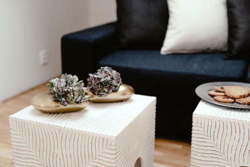 Luxury Apartments Zelny TRH
