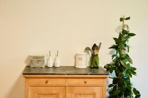 Apartamento The Green Room