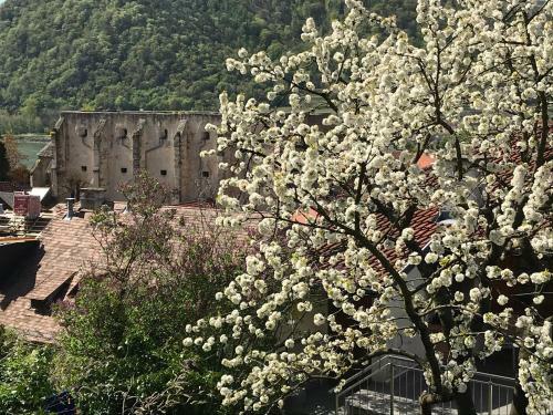 Hostal Pension Altes Rathaus