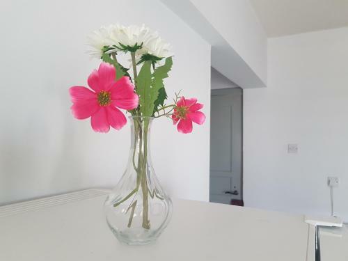 Cozy Holyday Apartament