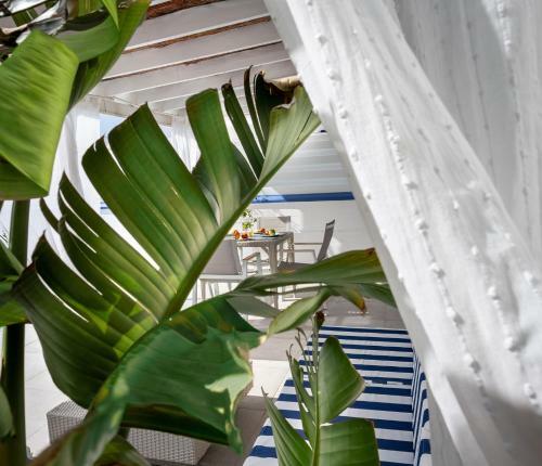 Protaras Villa Nicol 21