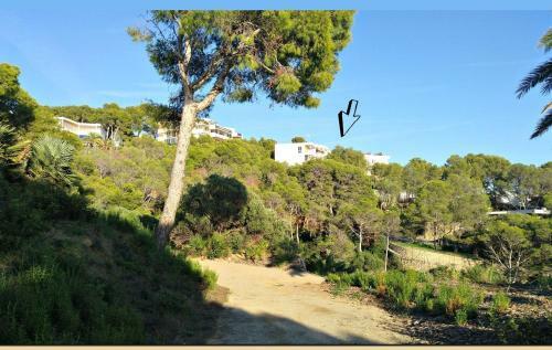 Apartamento Ol� Ol�
