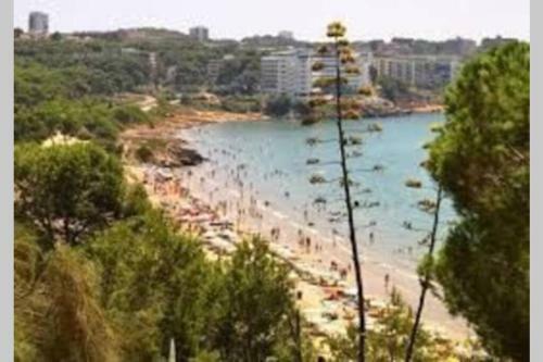 Cozy Apartment With Parking