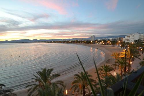 Apartamento Wvp Bello Horizonte