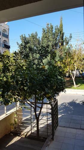 Kerynia Apartments