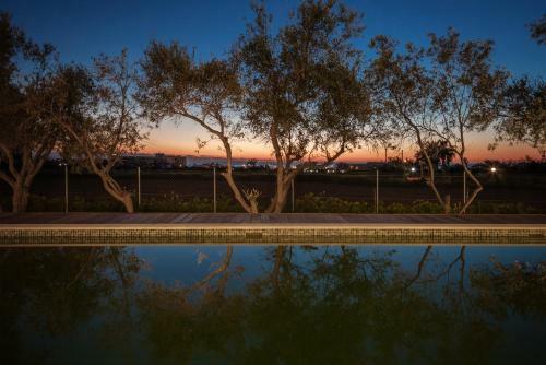 Olive Grove 4 Bedroom Villa