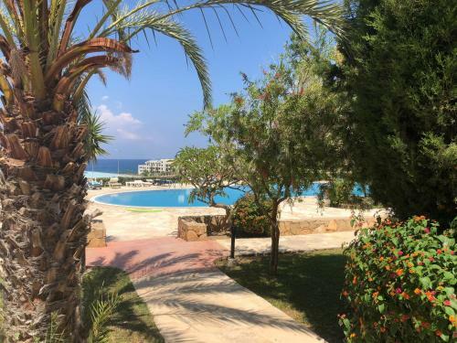 Modern, Pool-side 2 Bedroomed Apartment