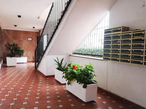 Apartamento Brussel�les, Centro Salou, Playa