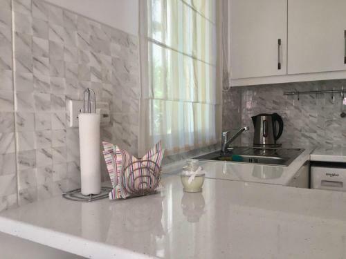 Apartamento Amorgos Gardens