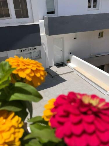 Apartamento Katsikantaris Homes