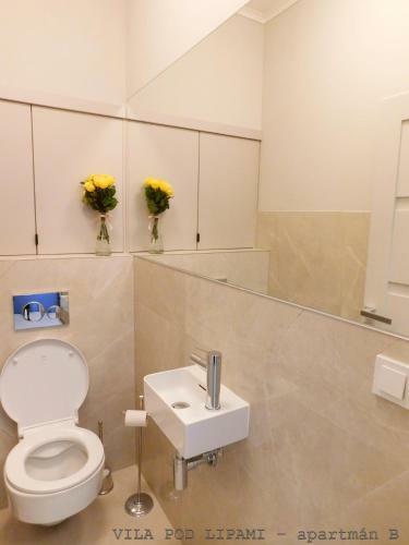 Apartamento Vila Pod Lipami