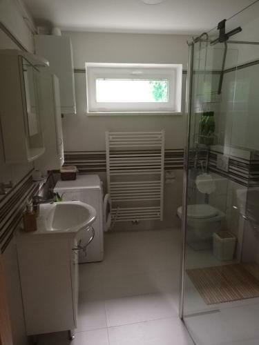 Apartm�n - V�hled Na Prad?d Ze Zahrady Domu