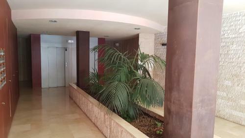 Apartamento San Sebasti�n de La Gomera