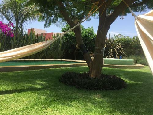 Aleri Relaxing House