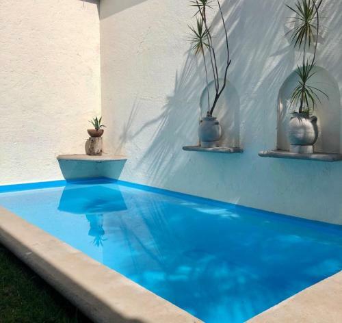 Apartamento Casa Bosques