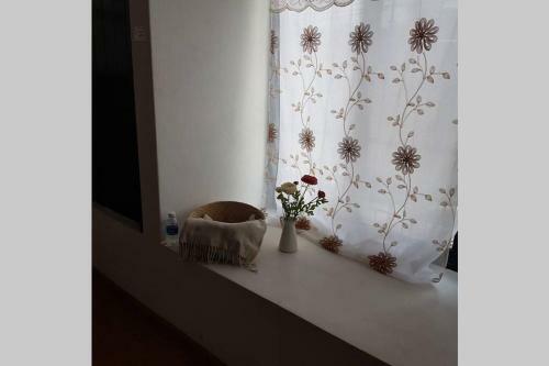 H&s Rent Casa Andrea Cuernavaca