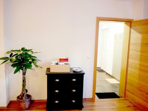 Apartment Loidl Ebensee